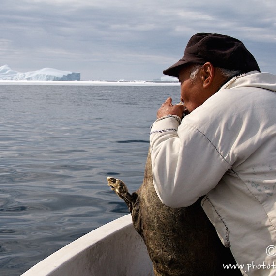 www.phototeam-nature.com-antognelli-groenland-greenland-narwhal-narval-chasse-hunting-kayak