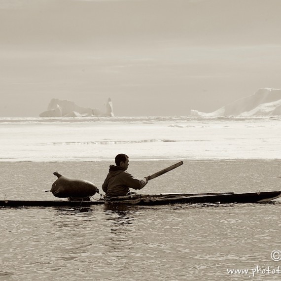 www.phototeam-nature.com-antognelli-groenland-greenland-narwhal-narval-chasse-hunting-kayak