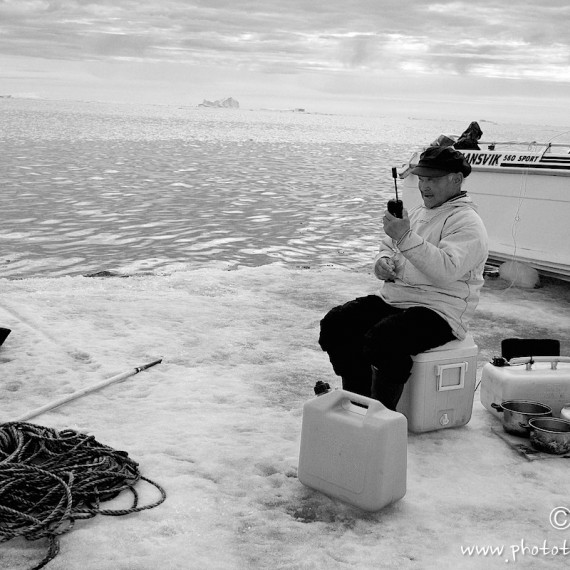 www.phototeam-nature.com-antognelli-groenland-greenland-narwhal-narval-chasse-hunting-kayak