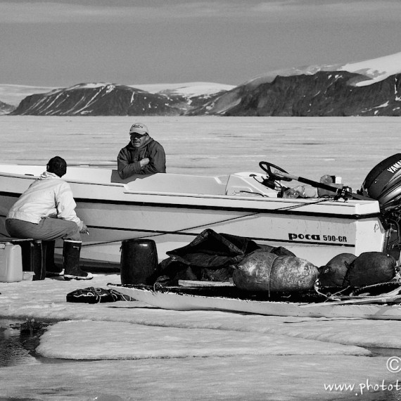 www.phototeam-nature.com-antognelli-groenland-greenland-narwhal-narval-chasse-hunting-kayak