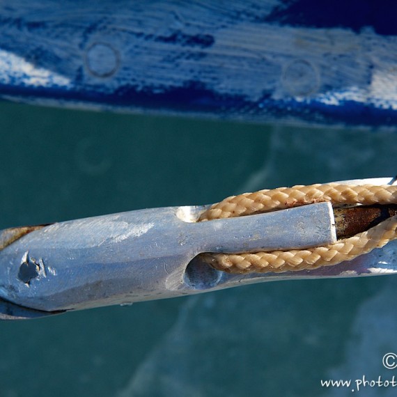 www.phototeam-nature.com-antognelli-groenland-greenland-narwhal-narval-chasse-hunting-kayak-harpon