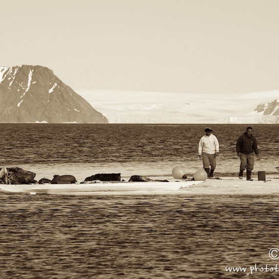 www.phototeam-nature.com-antognelli-groenland-greenland-narwhal-narval-chasse-hunting-kayak