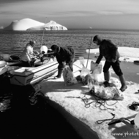 www.phototeam-nature.com-antognelli-groenland-greenland-narwhal-narval-chasse-hunting-kayak