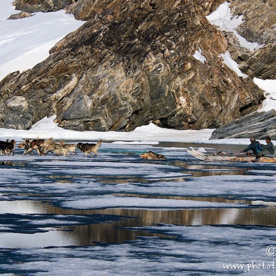 www.phototeam-nature.com-antognelli-groenland-greenland-