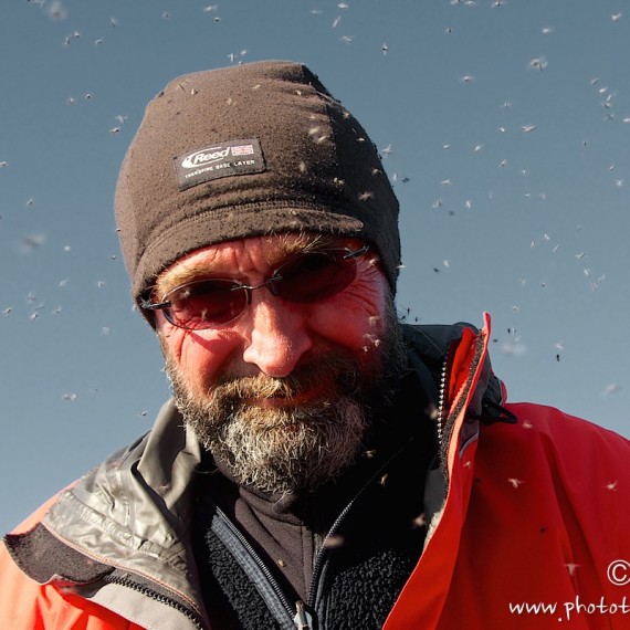 www.phototeam-nature.com-antognelli-groenland-greenland-expedition-kayak-moustiques