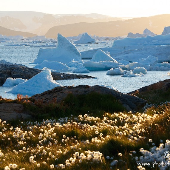 www.phototeam-nature.com-antognelli-greenland-kayak-expedition