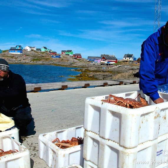 www.phototeam-nature.com-antognelli-groenland-greenland-expedition-kayak-kokatat-sea kayaking uk-ililleq