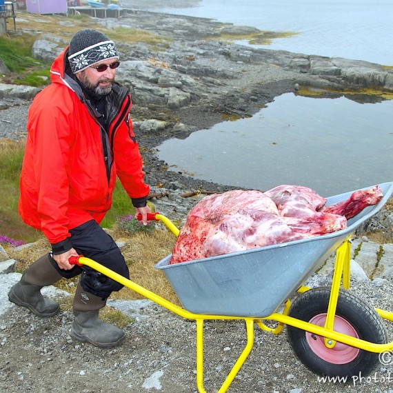 www.phototeam-nature.com-antognelli-groenland-greenland-expedition-kayak-