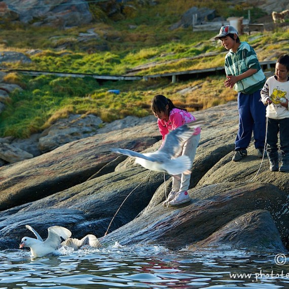 www.phototeam-nature.com-antognelli-greenland-kayak-expedition-tasiuasaq