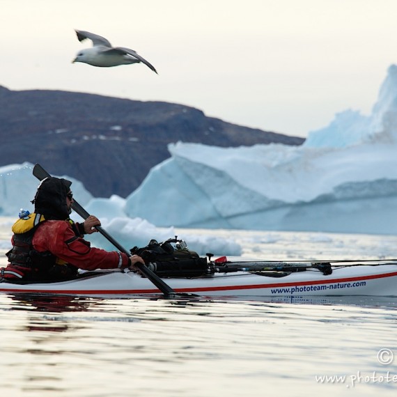 www.phototeam-nature.com-antognelli-greenland-kayak-expedition-nuussuaq-kokatat-sea kayaking UK- northern light paddle