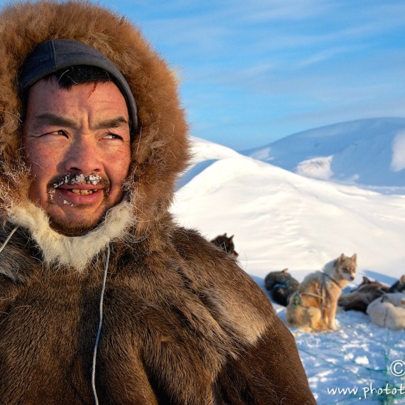 www.phototeam-nature.com-antognelli-groenland-greenland-nanoq-polar bear-ours polaire-hunting-chasse-traineau-chien-dog sleg-savissivik