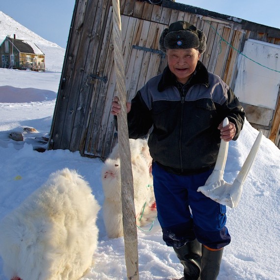 www.phototeam-nature.com-antognelli-groenland-greenland-nanoq-polar bear-ours polaire-hunting-chasse-traineau-chien-dog sleg-savissivik