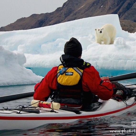 www.phototeam-nature.com-antognelli-greenland-kayak-expedition-sea kayaking uk-kokatat-ours polaire-polar bear