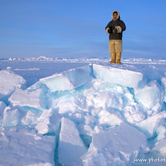 www.phototeam-nature.com-antognelli-groenland-greenland-nanoq-polar bear-ours polaire-hunting-chasse-traineau-chien-dog sleg