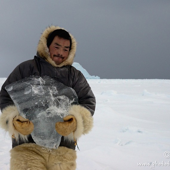 www.phototeam-nature.com-antognelli-groenland-greenland-nanoq-polar bear-ours polaire-hunting-chasse-