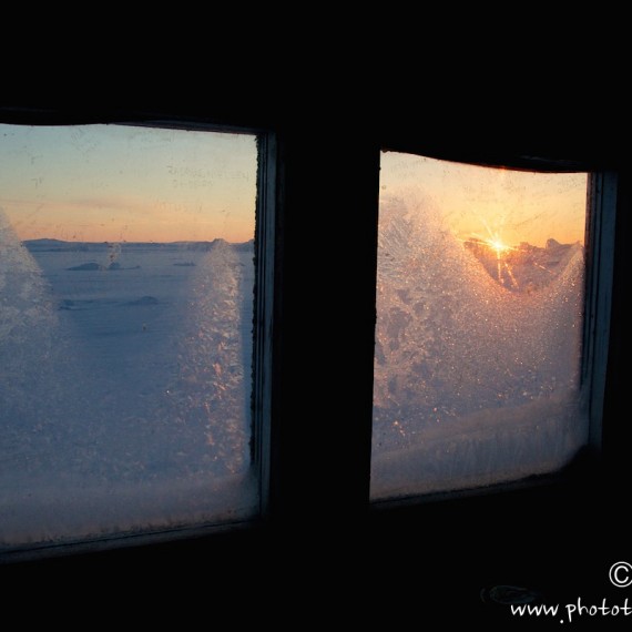 www.phototeam-nature.com-antognelli-groenland-greenland-nanoq-polar bear-ours polaire-hunting-chasse-cap york-cabane