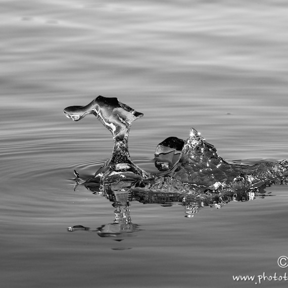 www.phototeam-nature.com-antognelli-greenland-kayak-expedition-