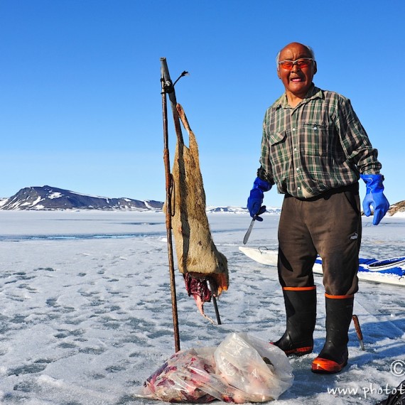 www.phototeam-nature.com-antognelli-groenaland-greenland-chasse-hunting-kayak