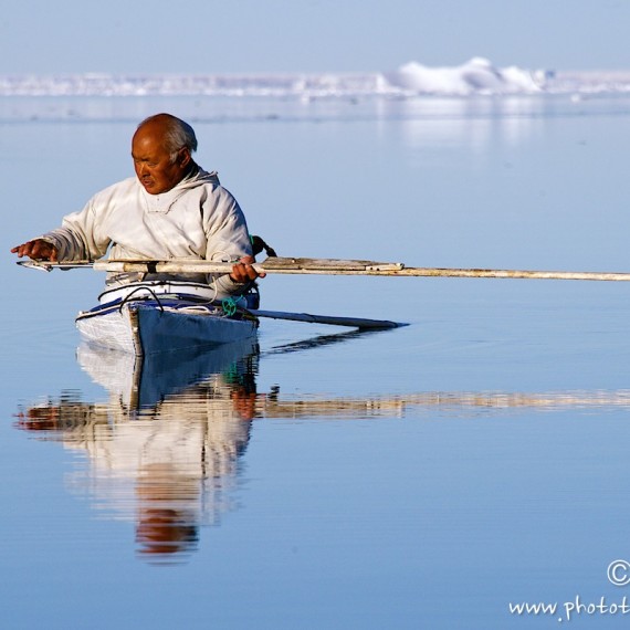 www.phototeam-nature.com-antognelli-groenaland-greenland-narwhal-narval-chasse-hunting-kayak