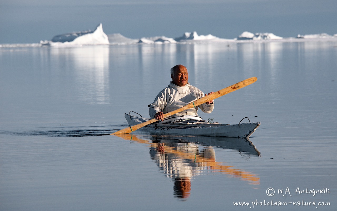www.phototeam-nature.com-antognelli-groenaland-greenland-narwhal-narval-chasse-hunting-kayak
