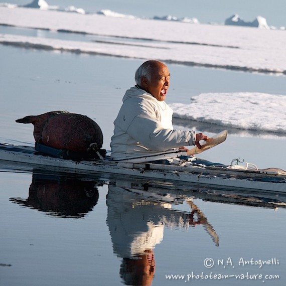 www.phototeam-nature.com-antognelli-groenaland-greenland-narwhal-narval-chasse-hunting-kayak