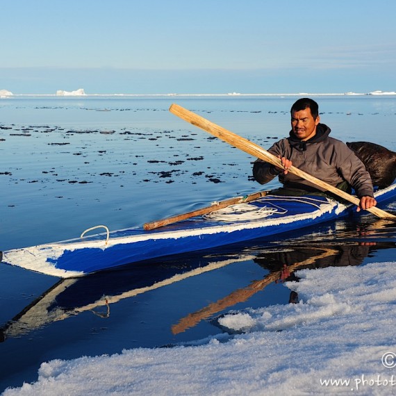 www.phototeam-nature.com-antognelli-groenaland-greenland-narwhal-narval-chasse-hunting-kayak