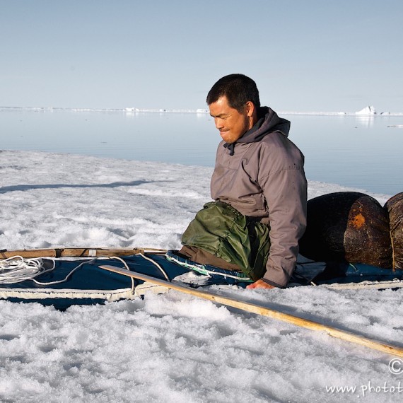 www.phototeam-nature.com-antognelli-groenaland-greenland-narwhal-narval-chasse-hunting-kayak