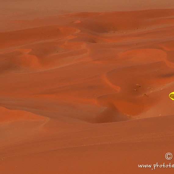 www.phototeam-nature.com-antognelli-namibie-parapente-sossuvlei