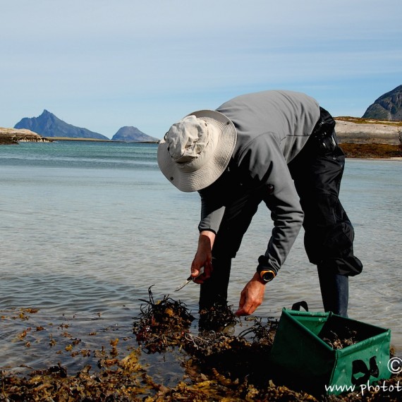 www.phototeam-nature.com-antognelli-norvege-helgeland-kayak-expedition