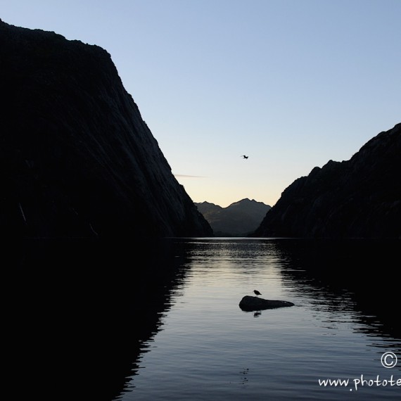 www.phototeam-nature.com-antognelli-norvege-lofoten-kayak-expedition