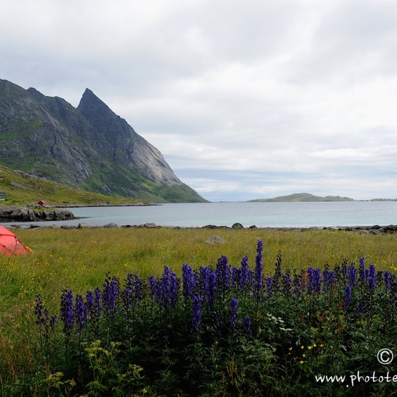 www.phototeam-nature.com-antognelli-norvege-lofoten-kayak-expedition-hilleberg