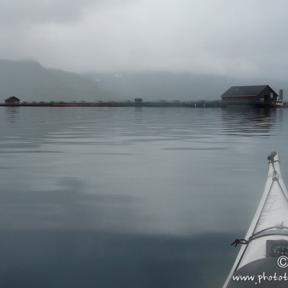 www.phototeam-nature.com-antognelli-norvege-vesterallen-kayak-expedition