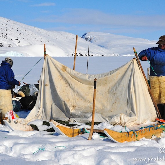 www.phototeam-nature.com-antognelli-Melville-expedition-traineau-chien-dog sled-groenland-greenland