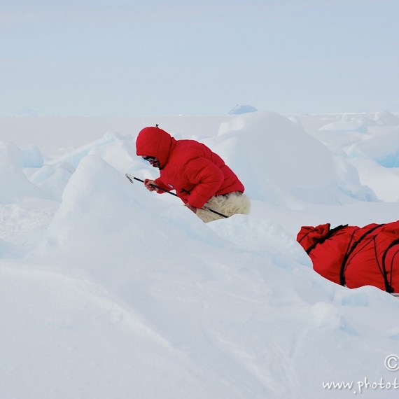 www.phototeam-nature.com-antognelli-Melville-expedition-traineau-chien-dog sled-groenland-greenland