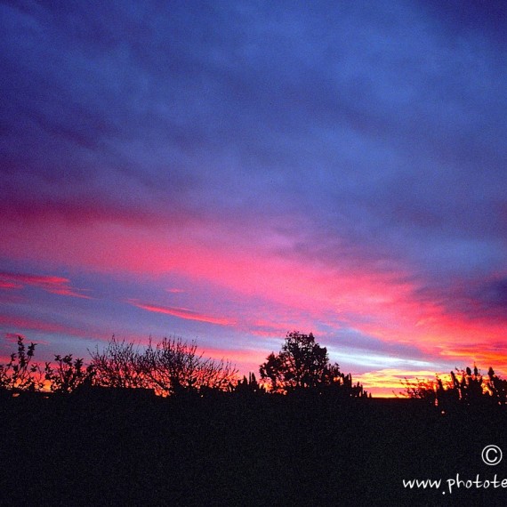 www.phototeam-nature.com-antognelli-afrique du sud