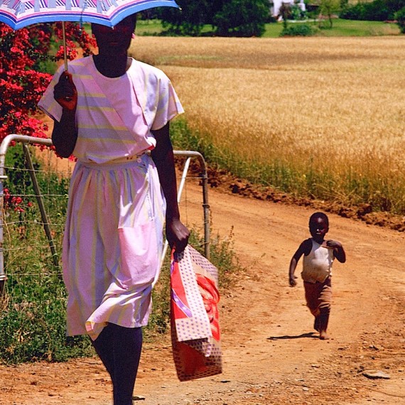 www.phototeam-nature.com-antognelli-afrique du sud-