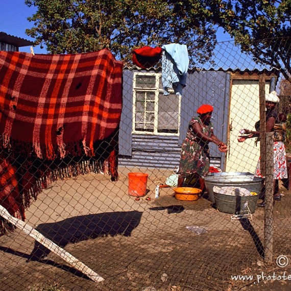 www.phototeam-nature.com-antognelli-afrique du sud-soweto