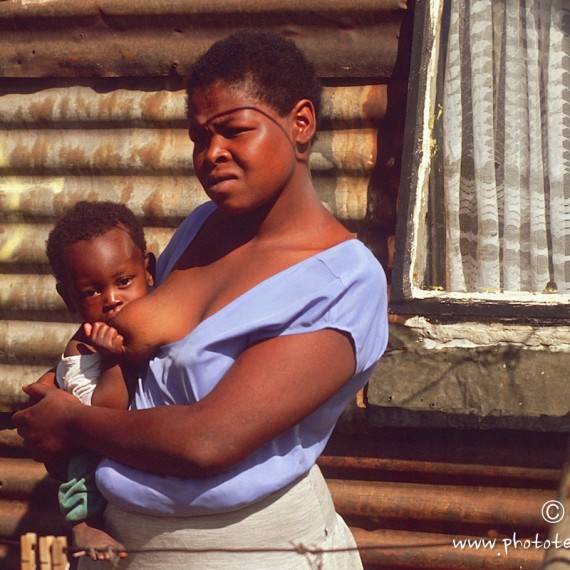 www.phototeam-nature.com-antognelli-afrique du sud-soweto