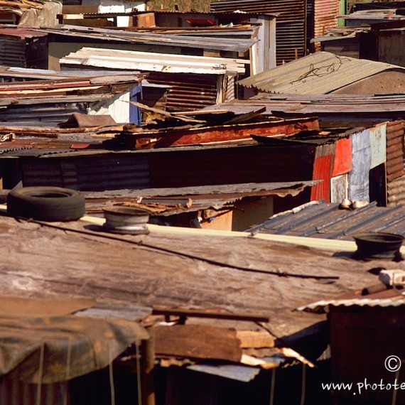 www.phototeam-nature.com-antognelli-afrique du sud-soweto