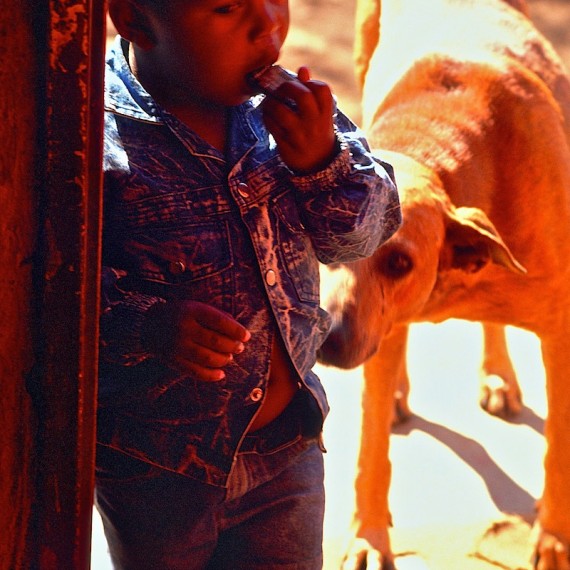 www.phototeam-nature.com-antognelli-afrique du sud-soweto