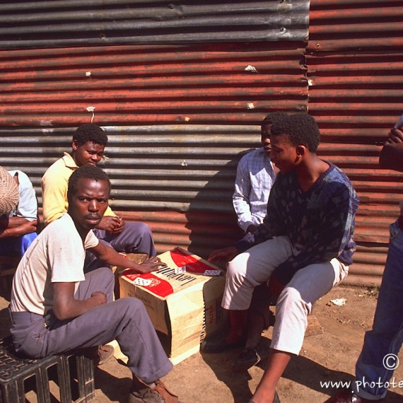 www.phototeam-nature.com-antognelli-afrique du sud-soweto