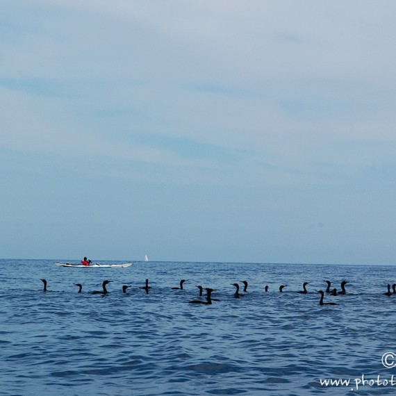 www.phototeam-nature.com-antognelli-sardaigne-italie-expediton-kayak