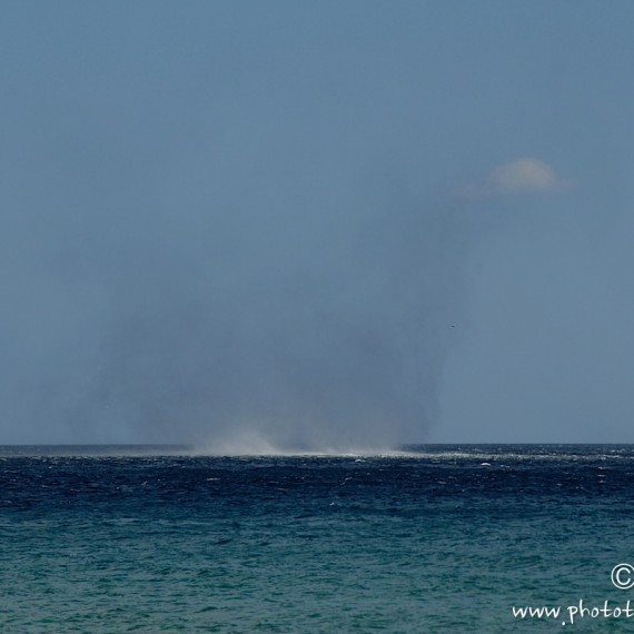 www.phototeam-nature.com-antognelli-sardaigne-italie-expediton-kayak-dust