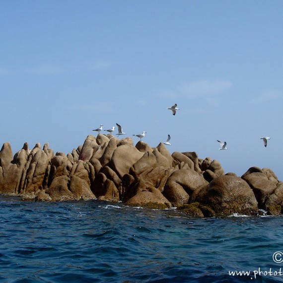 www.phototeam-nature.com-antognelli-sardaigne-italie-expediton-kayak