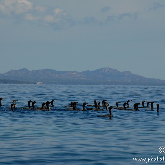 www.phototeam-nature.com-antognelli-sardaigne-italie-expediton-kayak