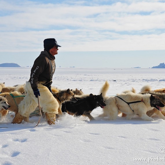 www.phototeam-nature.com-antognelli-Melville-expedition-traineau-sled-groenland-greenland