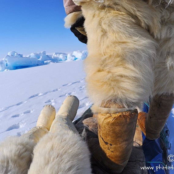 www.phototeam-nature.com-antognelli-Melville-expedition-traineau-sled-groenland-greenland