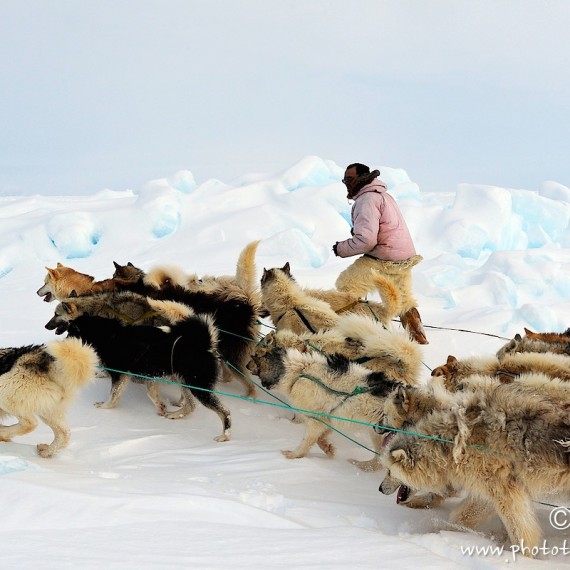 www.phototeam-nature.com-antognelli-Melville-expedition-traineau-sled-groenland-greenland