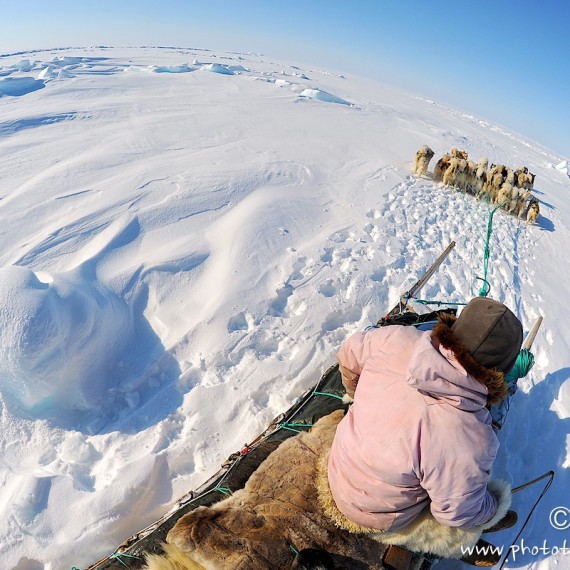 www.phototeam-nature.com-antognelli-Melville-expedition-traineau-sled-groenland-greenland