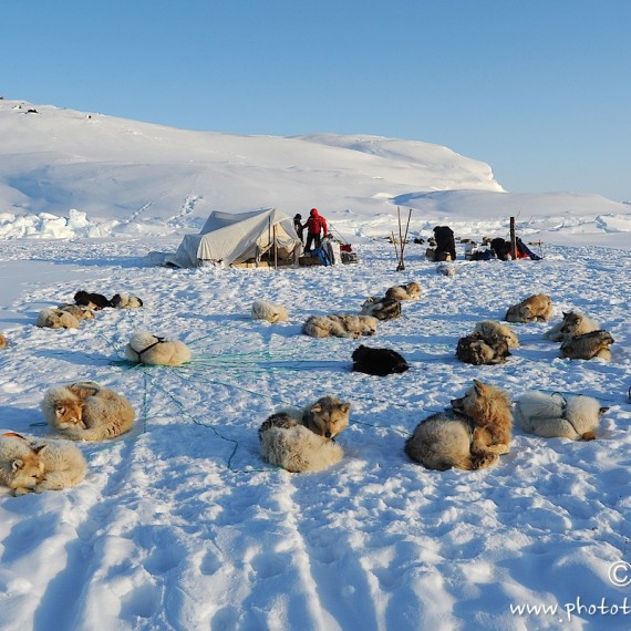 www.phototeam-nature.com-antognelli-Melville-expedition-traineau-sled-groenland-greenland-camp